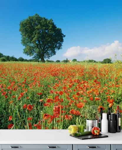 Carta da Parati Campo di Papaveri in una Giornata Carta da Parati Campo di Papaveri in una Giornata