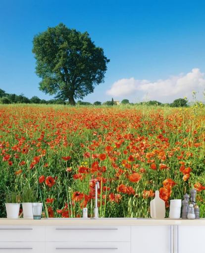 Poppy Field on a Sunny Day Wallpaper