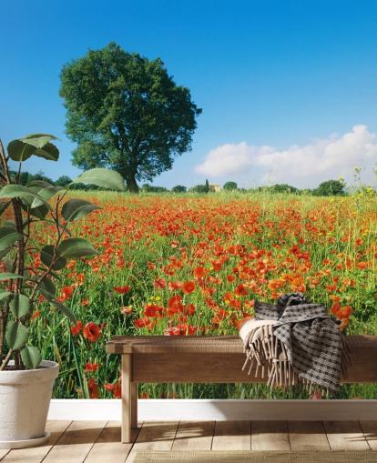 Fond d'écran de Coquelicots par une journée ensoleillée