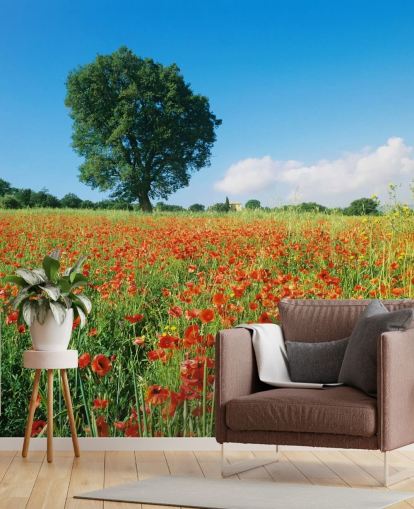 Papel pintado de campo de amapolas en un día soleado