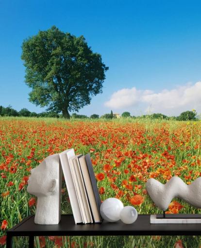 Poppy Field op een zonnige dag behang