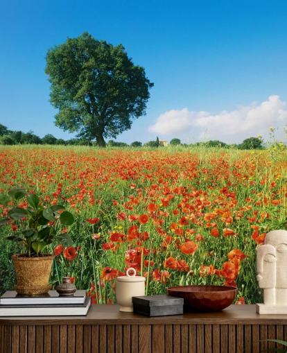 Poppy Field on a Sunny Day Wallpaper