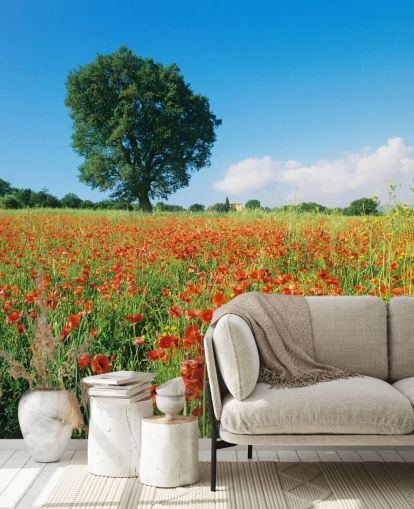 Poppy Field on a Sunny Day Wallpaper