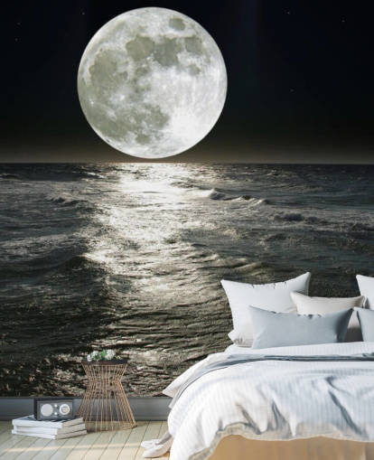 white customizable moon wallpaper mural called Moon for bedrooms