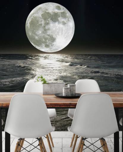 white customisable moon wallpaper mural called Moon for bedrooms