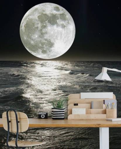 white customizable moon wallpaper mural called Moon for bedrooms