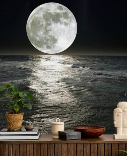 valkoinen muokattava kuun taustakuvamaalaus nimeltä Moon makuuhuoneisiin