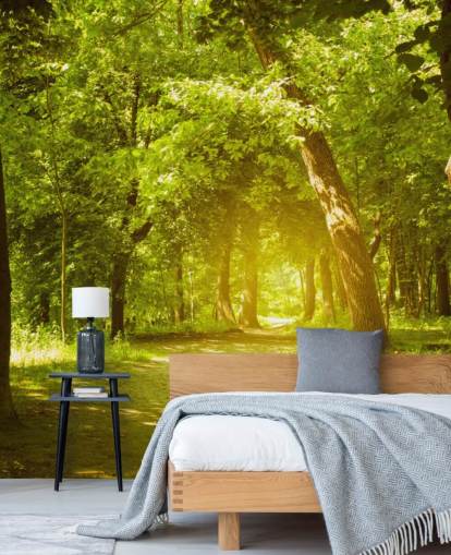 brown and green forest wallpaper mural called Forest for living rooms, offices and kitchens brown and green forest wallpaper mural called Forest for living rooms, offices and kitchens
