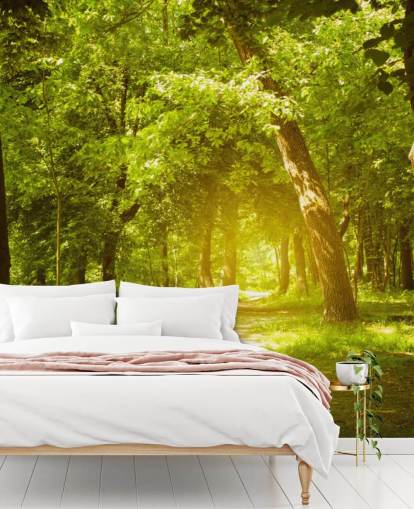 Gloeiende zon in groen bos behang Gloeiende zon in groen bos behang