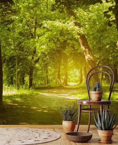 Glowing Sun in Green Forest Wallpaper