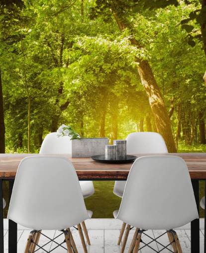 Gloeiende zon in groen bos behang Gloeiende zon in groen bos behang