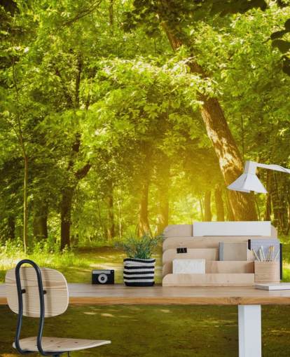 Gloeiende zon in groen bos behang