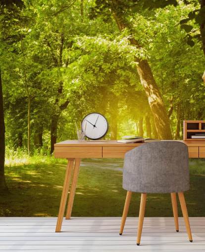 Glödande solen i grön skog Bakgrund