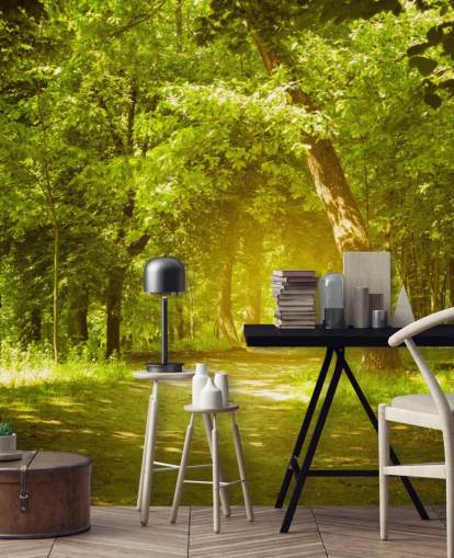 Gloeiende zon in groen bos behang