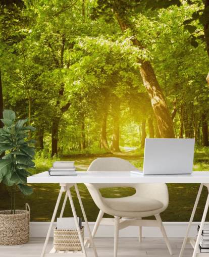 Glowing Sun in Green Forest Wallpaper