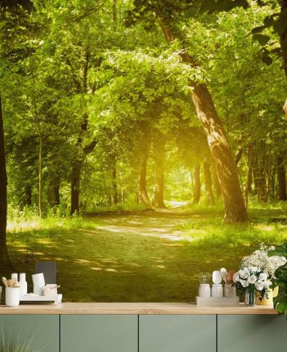 Fondo de pantalla de sol brillante en el bosque verde