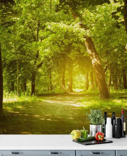 Glowing Sun in Green Forest Wallpaper