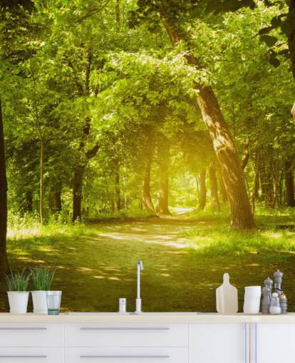 brown and green forest wallpaper mural called Forest for living rooms, offices and kitchens brown and green forest wallpaper mural called Forest for living rooms, offices and kitchens