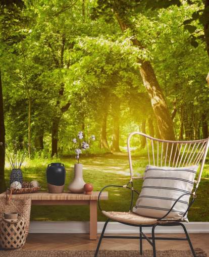 Glödande solen i grön skog Bakgrund Glödande solen i grön skog Bakgrund