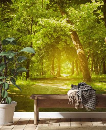 Glowing Sun in Green Forest Wallpaper