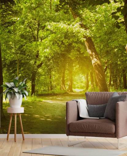 brown and green forest wallpaper mural called Forest for living rooms, offices and kitchens brown and green forest wallpaper mural called Forest for living rooms, offices and kitchens