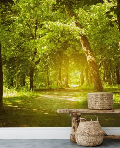 Papel de Parede Brilhante Sol na Floresta Verde