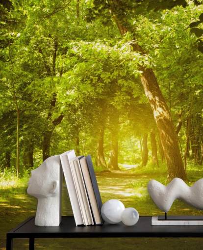 Glowing Sun in Green Forest Wallpaper