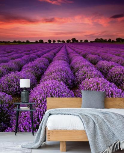 Lavender Fields Wallpaper