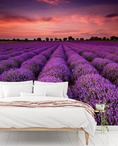 Papel de parede Lavender