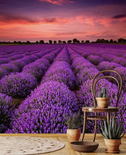 Lavender Fields Wallpaper