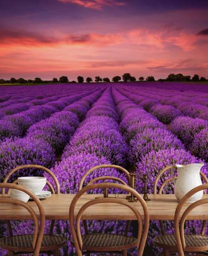 Lavendel felt Bakgrunn