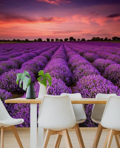 Lavendel Fields Tapete
