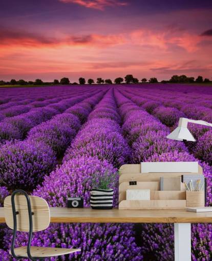 Lavendel Fields Tapete