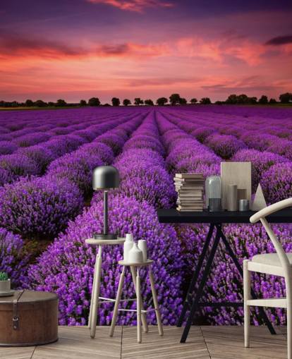 Lavender Fields Wallpaper Lavender Fields Wallpaper