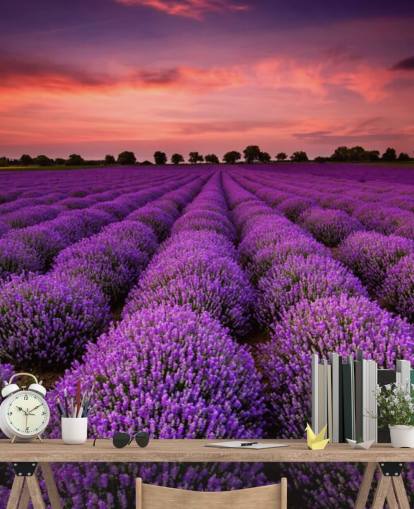 Lavender Fields Wallpaper Lavender Fields Wallpaper