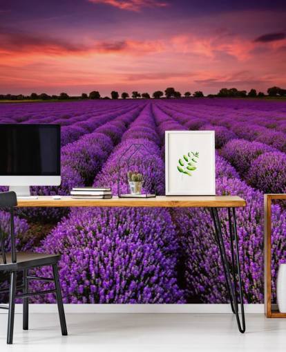 Lavender Fields behang