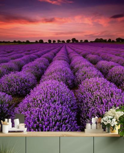 Lavender Fields Wallpaper