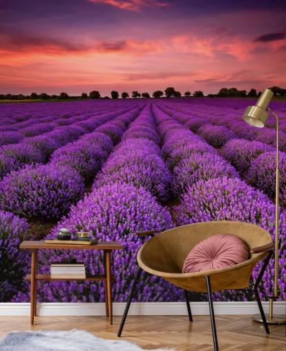 Lavender Fields Wallpaper Lavender Fields Wallpaper
