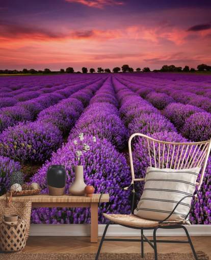 Lavendel Fields Baggrund
