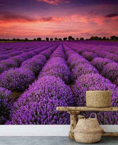 Papel de parede Lavender