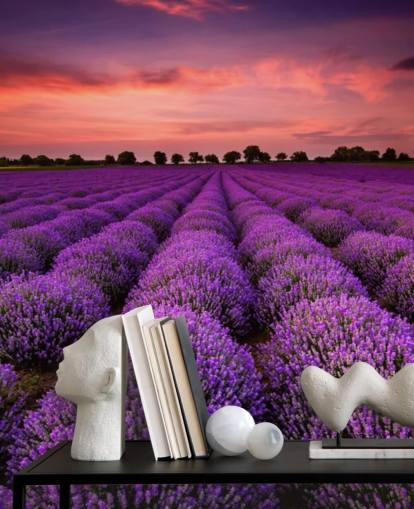 Lavender Fields Wallpaper