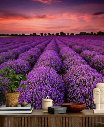 Lavendel felt Bakgrunn