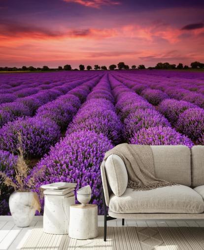 Lavender Fields Wallpaper