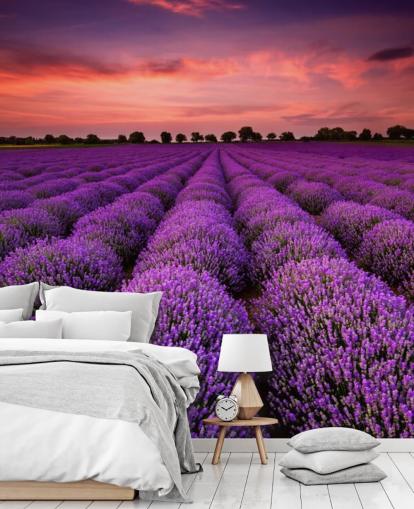 Papier Peint Lavender