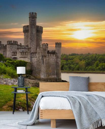 ireland sunset wallpaper mural called Blackrock Castle Observatory for bedrooms, home offices and more
