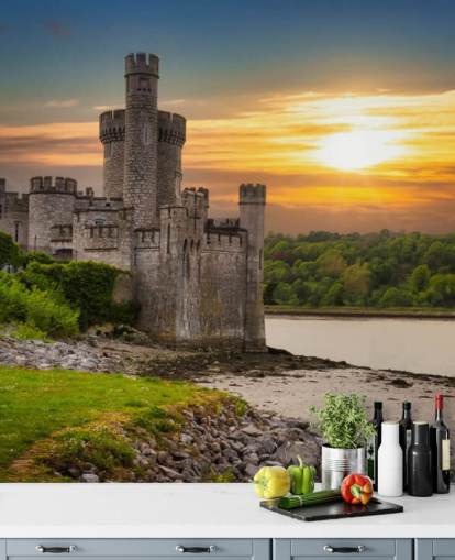 ireland sunset wallpaper mural called Blackrock Castle Observatory for bedrooms, home offices and more