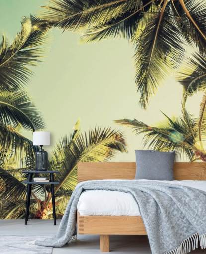 Looking Up at Palm Trees Wallpaper Looking Up at Palm Trees Wallpaper