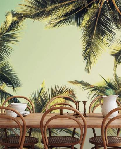 Fondo de Pantalla Mirando las Palmeras Fondo de Pantalla Mirando las Palmeras