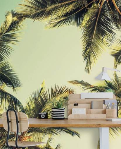 Looking Up at Palm Trees Wallpaper