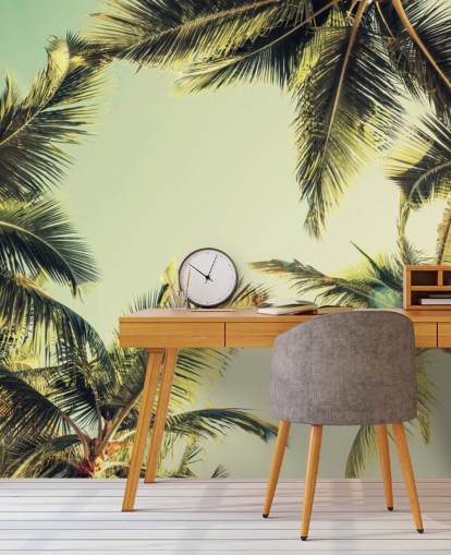 Looking Up at Palm Trees Wallpaper